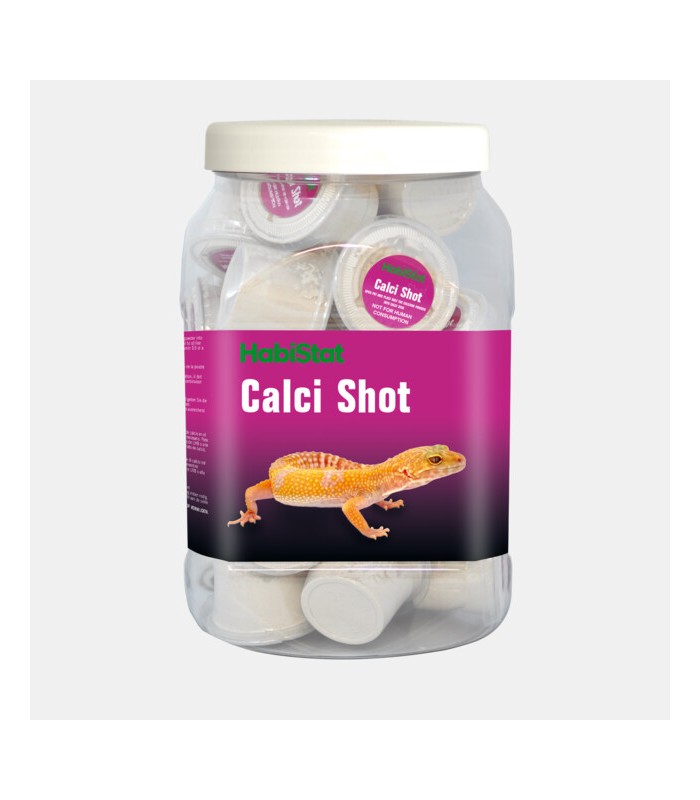 carbonato di calcio in polvere per rettili