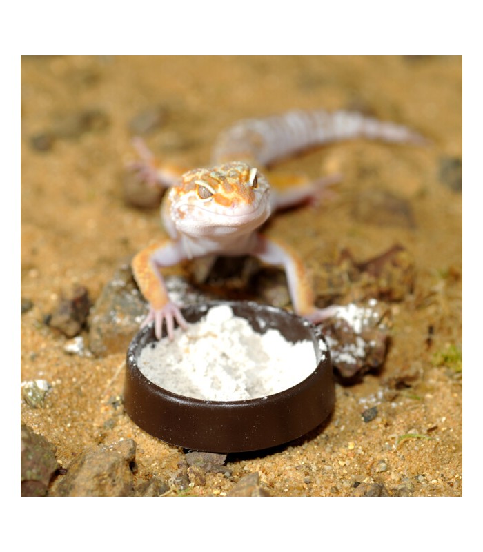 calcio in polvere per rettili e insetti