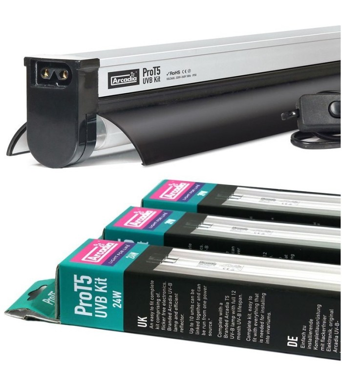 ARCADIA PRO T5 SET FOREST 6% UVB FOREST | neon+plafoniera