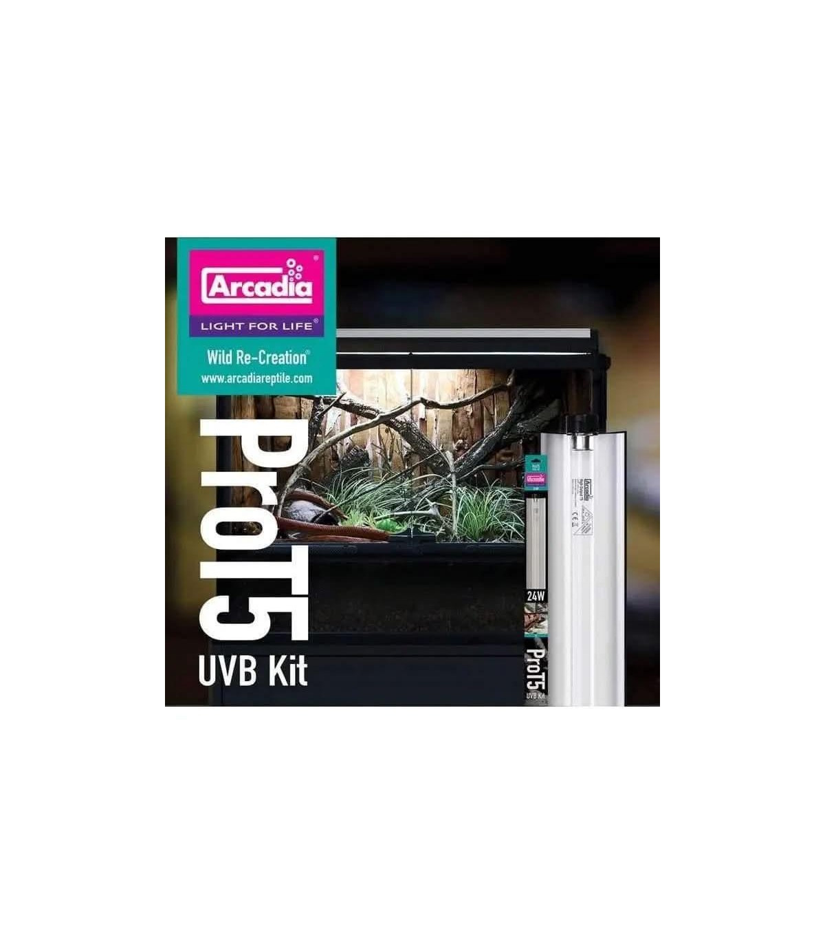 ARCADIA PRO T5 SET 12% UVB DESERT | neon+plafoniera