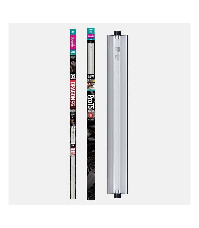 ARCADIA PRO T5 SET 14% UVB DRAGON 54w| neon+plafoniera