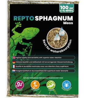 Muschio di sfagno naturale