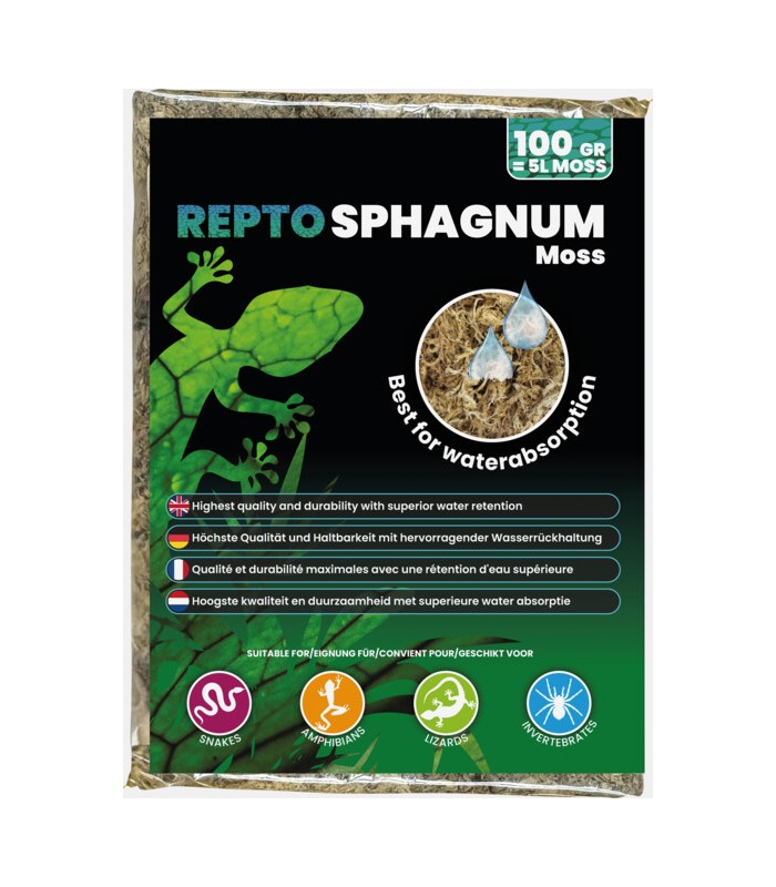 Muschio di sfagno naturale