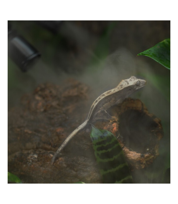 Umidificatore digitale temporizzato per terrari e paludari