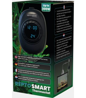 Termostato intelligente giorno-notte