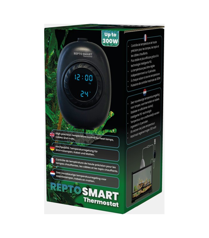 Termostato intelligente giorno-notte