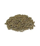 Alimenti per Tartarughe Acquatiche: Cibo Secco, Pellet e Stick