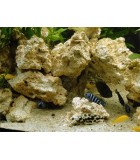 FONDI FERTILI - SABBIE - ROCCE DECORATIVE