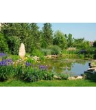 Offerte su prodotti per LAGHETTO