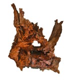 Legni e Radici per Terrari, Paludari e Acquari