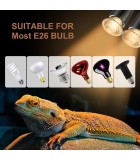 Lampade e Illuminazione Rettili | UVB, UVA e Luce Visibile per Terrari