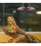 RISCALDAMENTO TERRARI E PALUDARI
