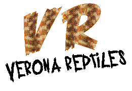 logo Verona Reptiles